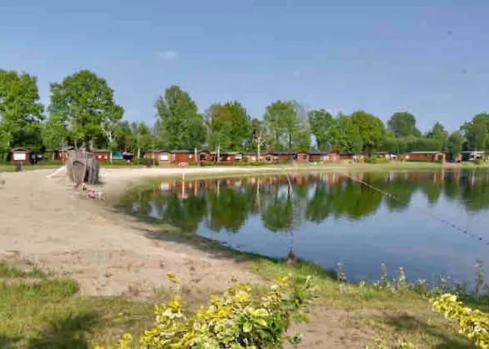 Luxe Chalet Met Airco Bij Bos En Zwemwater